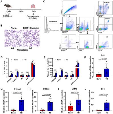 CircRNAs expression profile and potential roles of circRERE-PMN in pre-metastatic lungs